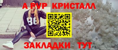 крисы Камышлов