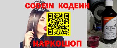 крисы Камышлов