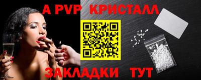 крисы Камышлов