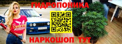 крисы Камышлов