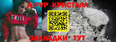 крисы Камышлов